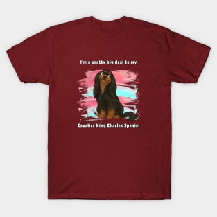 I'm a pretty big deal to my Cavalier King Charles Spaniel, Black and Tan T-Shirt